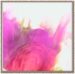 Voir le détail de cette oeuvre