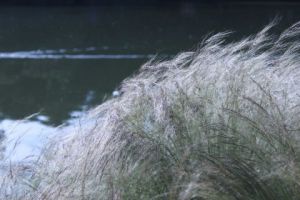 Voir le détail de cette oeuvre