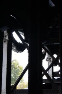 Voir le détail de cette oeuvre