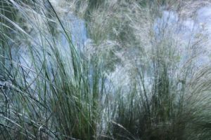 Voir le détail de cette oeuvre