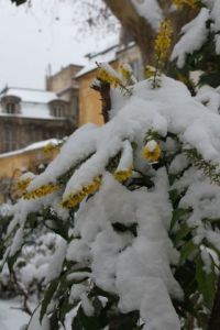 Voir le détail de cette oeuvre